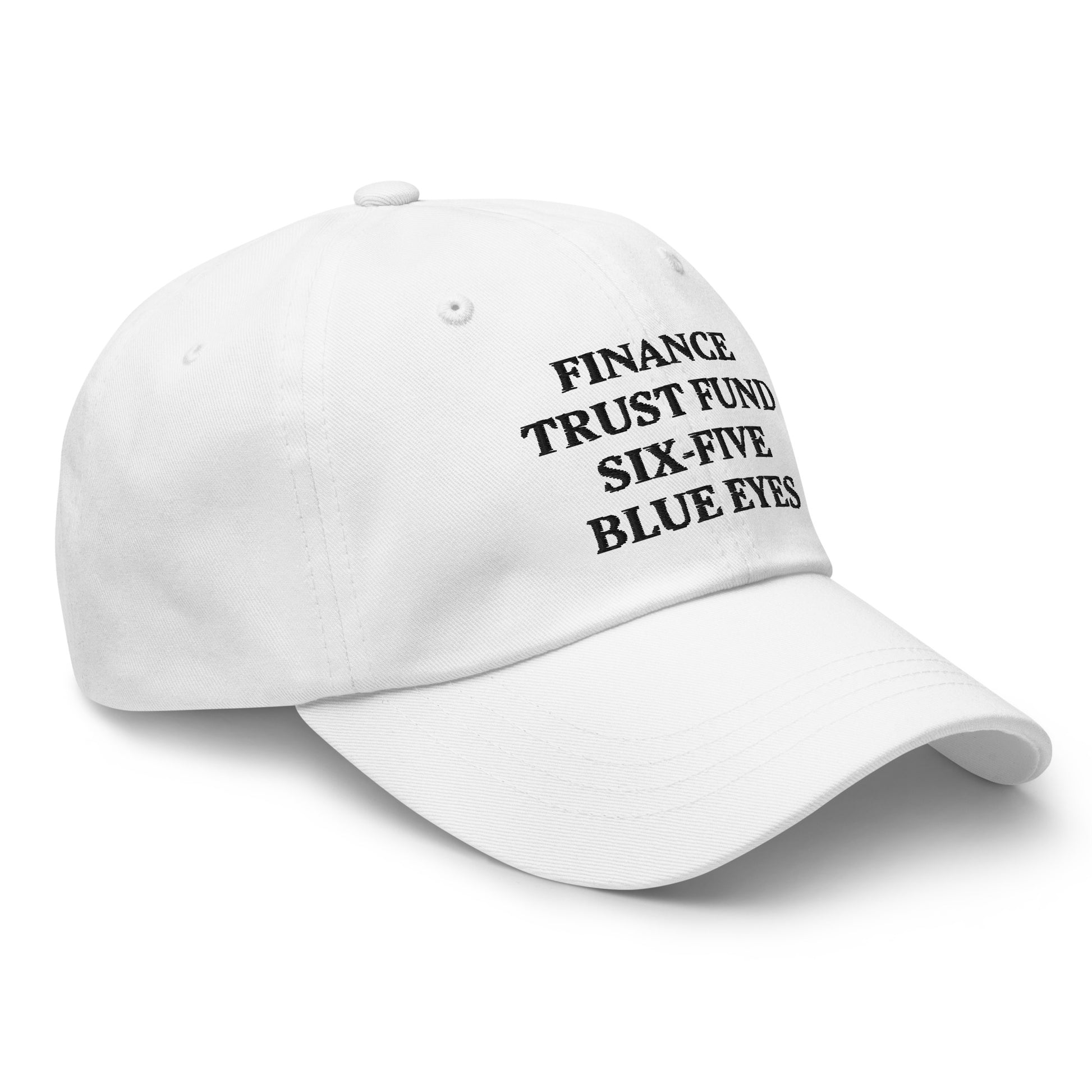 FINANCE TRUST FUND SIX-FIVE BLUE EYES Cap - financeshirts.de